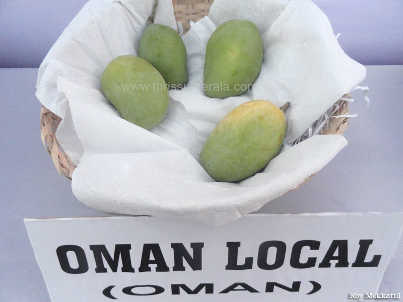 Oman Local (Oman1)